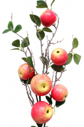 Заготовка для декора Ветка с яблоками красными, 95 см