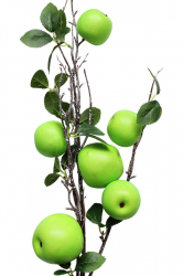 Заготовка для декора Ветка с яблоками зелеными, 95 см